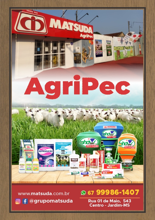 Baby lanches e Pizzaria — 16