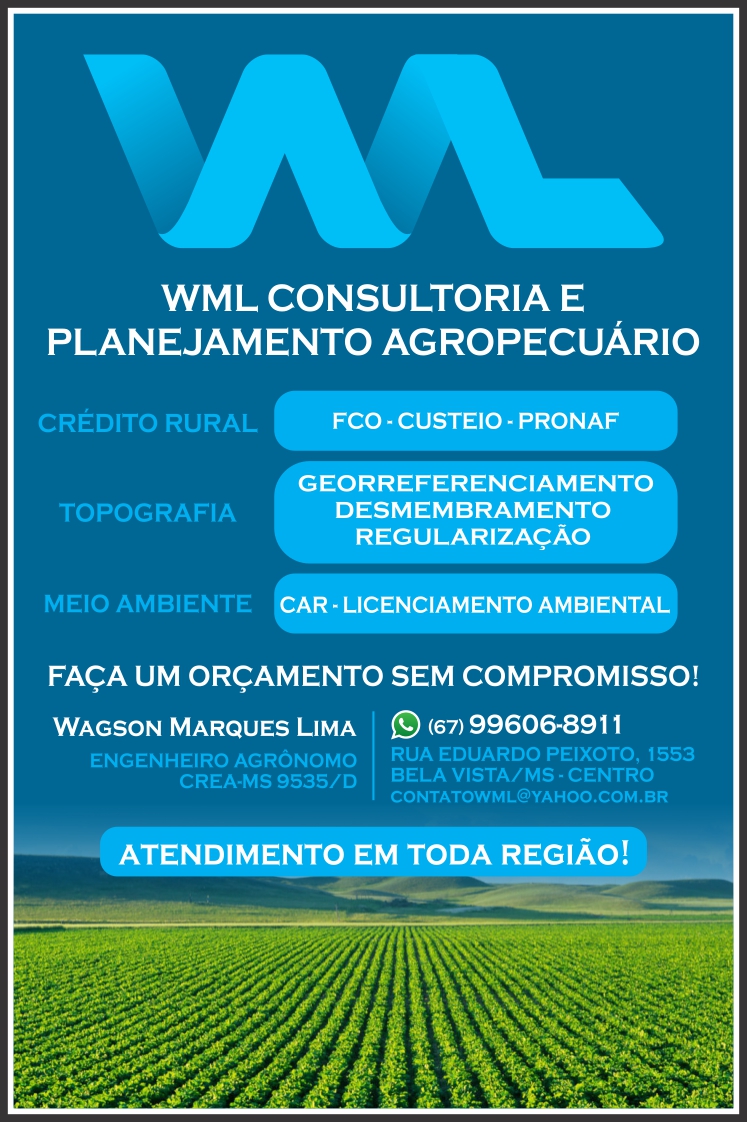 Novinho Lanches — 7