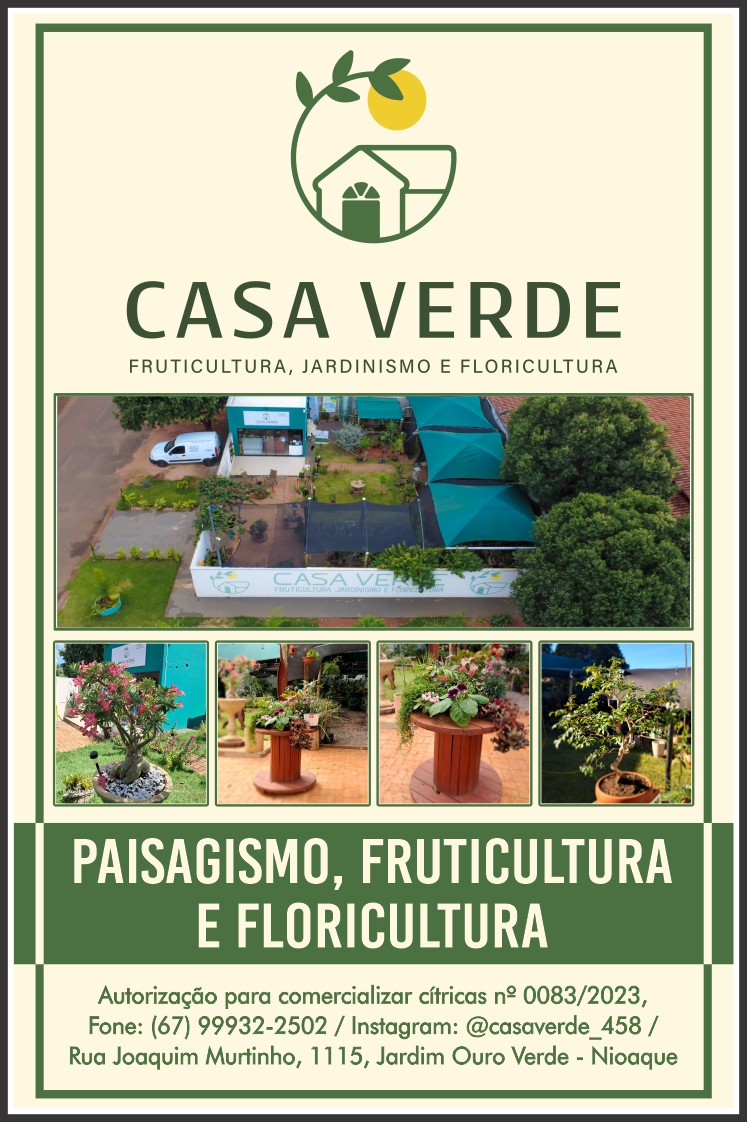 Pizzaria italia — 12-pizzaria-italia-pizzaria-pizza-nioque-ms