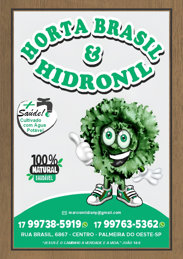 Saborosa Pizzaria — 30-saborosa-pizzaria-pizza-nan