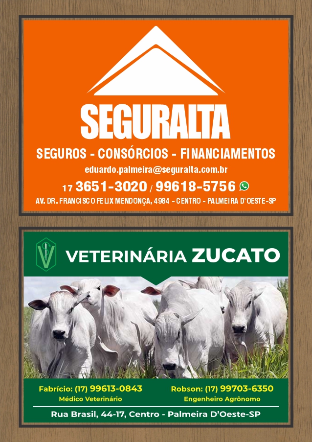 Saborosa Pizzaria — 6-saborosa-pizzaria-pizza-nan